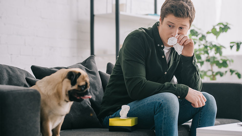 Purchasing an air purifier is one of the wisest ways to boost your residence’s indoor air quality. Discover more about the three best options. 